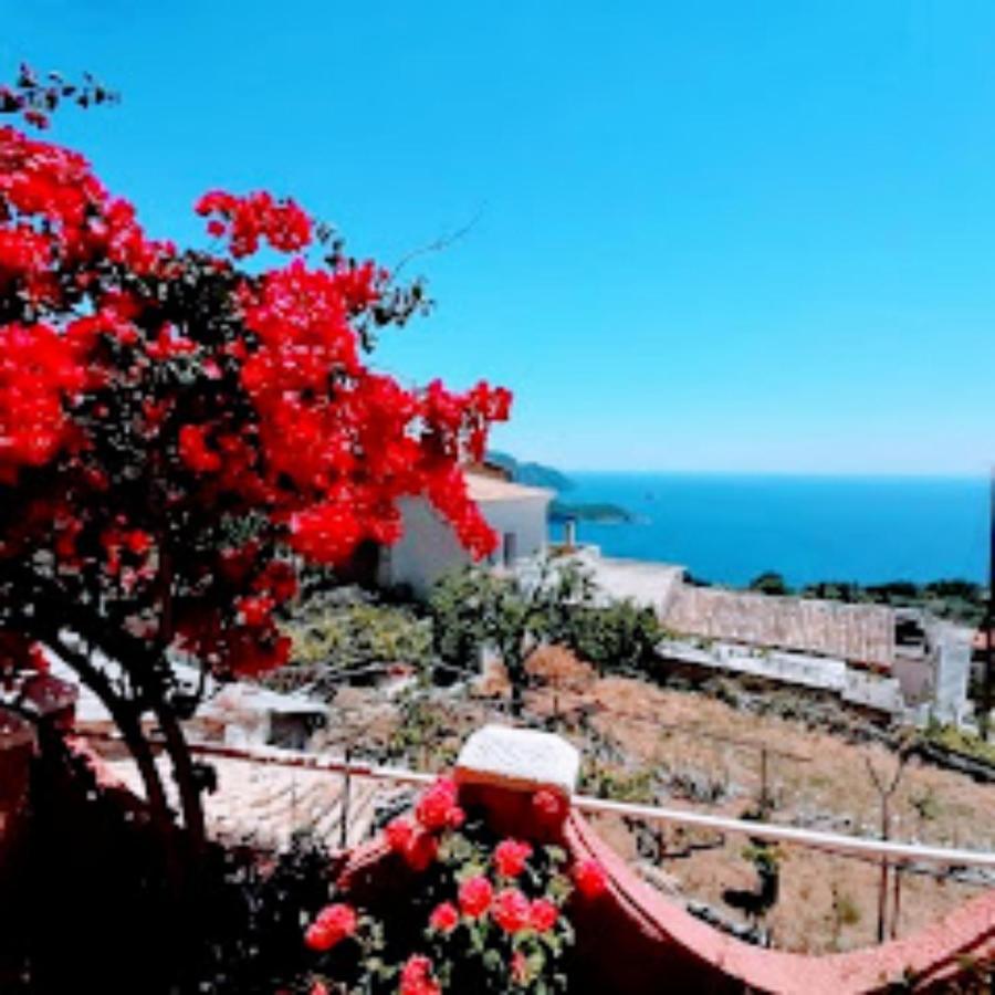 Traditional Panoramic Sea View House Apartment *