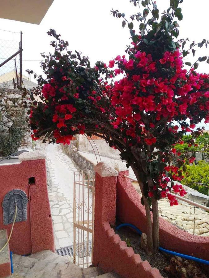 Apartment Traditional Panoramic Sea View House *